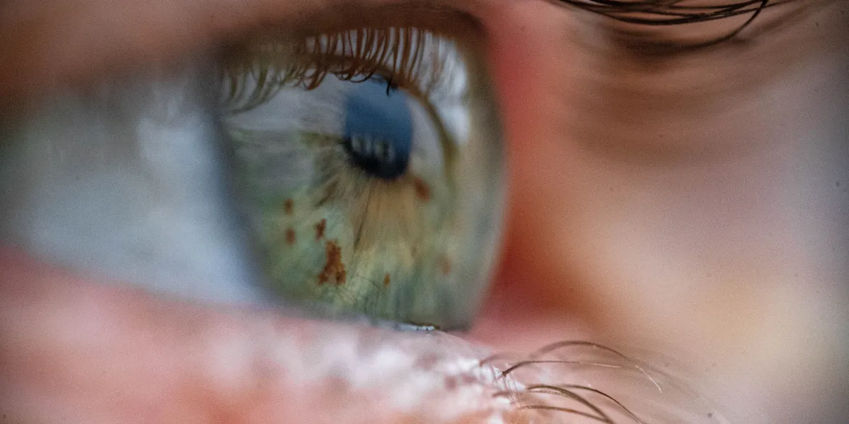 死亡した提供者の眼球を「蘇生」する装置が全眼球移植の実現に道を開く