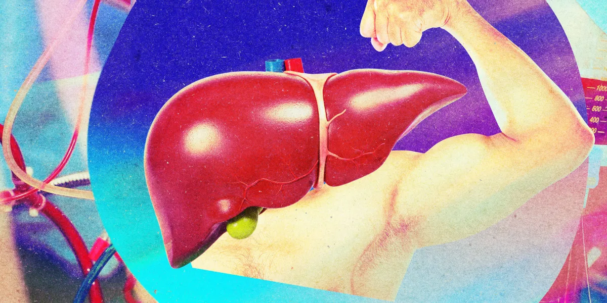 提供された肝臓を「若返らせる」：臓器移植の新たなフロンティア