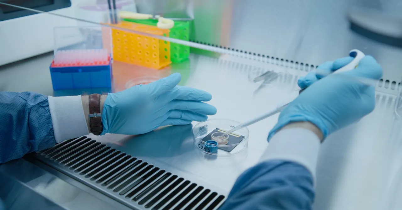 ラットの脳細胞でAIを作る？生物コンピューティングが現実に一歩近づく