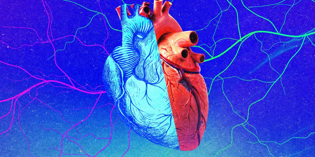 若い臓器は若返りの泉にあらず？移植による抗老化研究に冷や水