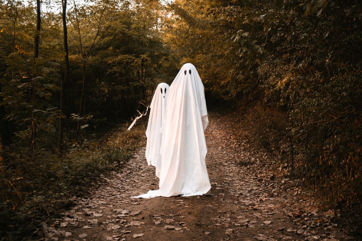 ハロウィンの仮装を忘れた？AIエージェントのアイコン、PHPの脆弱性、または眠そうなBryan Johnsonに扮しよう